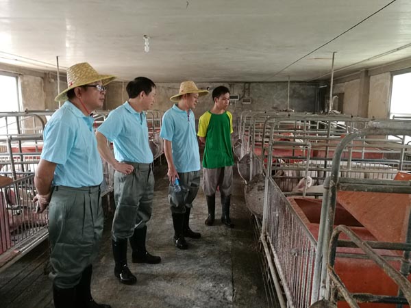 参观生产线 参观生产线