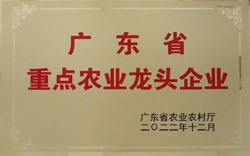 广东省重点农业龙头企业 广东省重点农业龙头企业