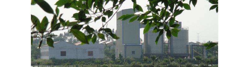 广东阳江广三保畜牧有限公司